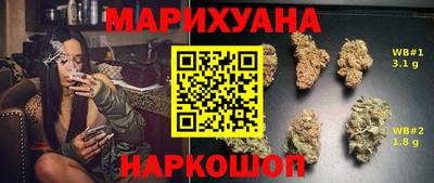 мдпв Шелехов