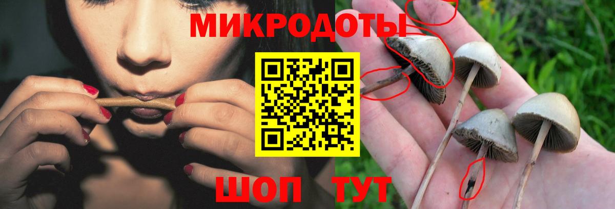 Всеволожск  купить наркотик  Галлюциногенные грибы GOLDEN TEACHER  Вход с VPN  Псилоцибиновые грибы мицелий 